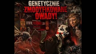 Patroners – Genetycznie Zmodyfikowane Owady.